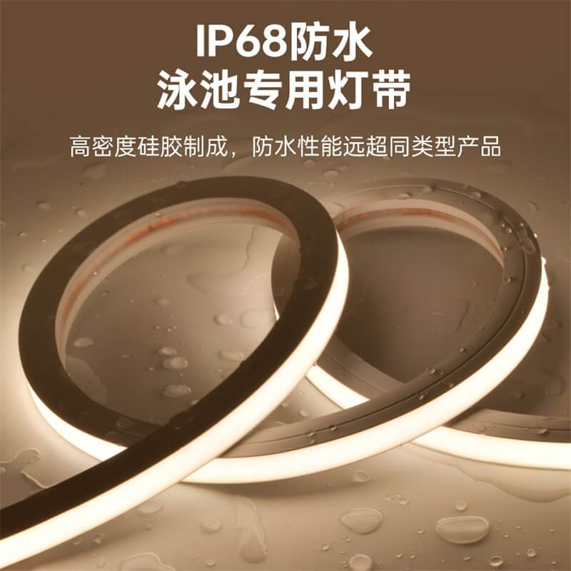 戶外防水泳池燈帶IP68一體注塑成型低壓15x16正發光 - 4